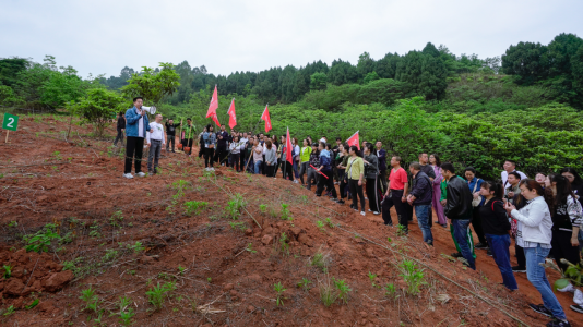省尊龙凯时官网集团开展龙泉山城市森林公园 “包山头”植树活动
