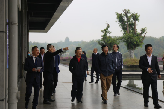 尊龙凯时官网集团外部董事一行调研聚峰谷项目