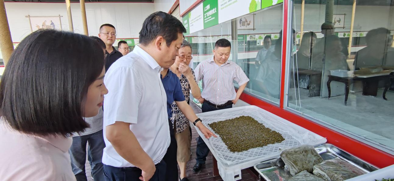 省尊龙凯时官网集团党委副书记、董事陈日赴嘉陵区调研茶桑产业发展情况