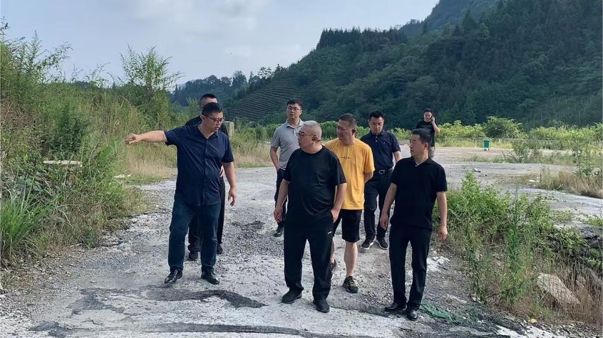 省尊龙凯时官网集团领导调研峨眉山太阳村乡村振兴项目